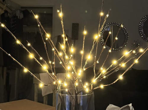 Led lighted branch lights - lighted,