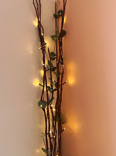 Warm white led twig - warm,