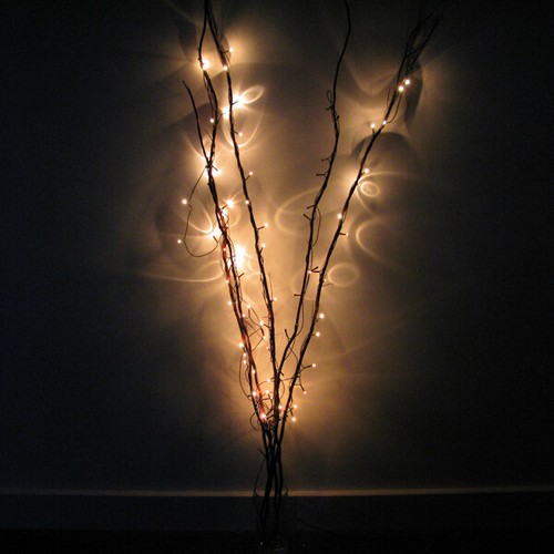 White twig lights - twig,