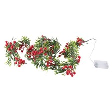 2 Meter 20 Led String Light