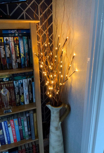 Pack 76cm twig - 76cm, lights