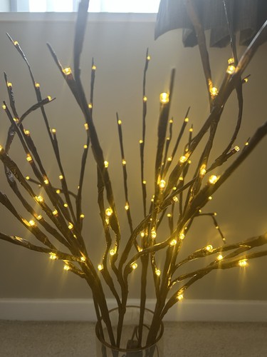 Twig lights battery - twig,